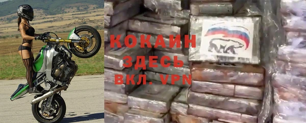 круглые Аркадак