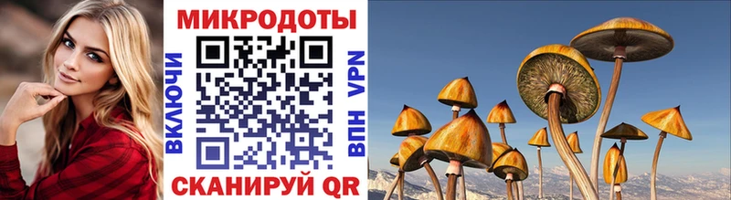 Галлюциногенные грибы Cubensis  где купить наркоту  Аша 